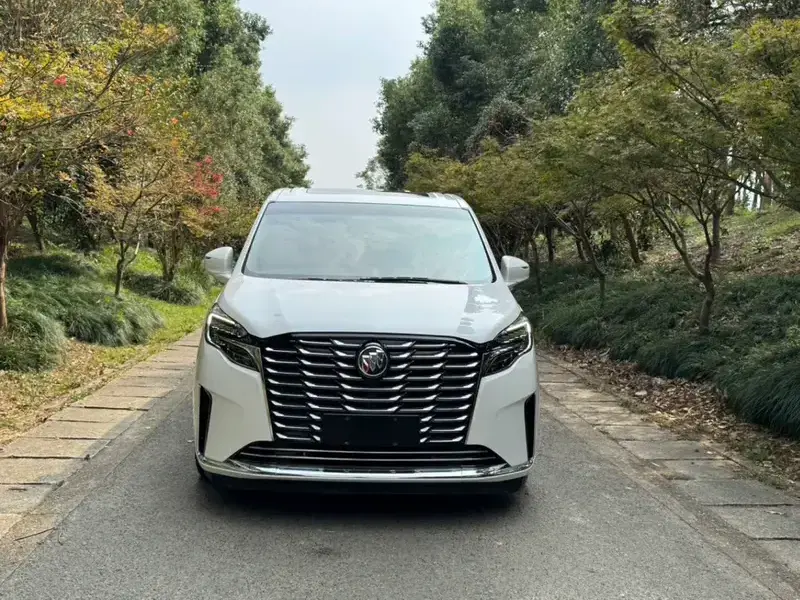 2022 Buick GL8 с пробегом 66 000 км