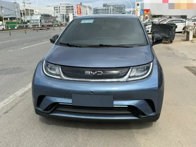 2024 BYD Dolphin с пробегом 29 000 км