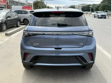2024 BYD Dolphin с пробегом 29 000 км