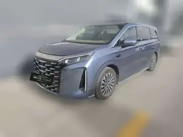 BYD Xia (M9)