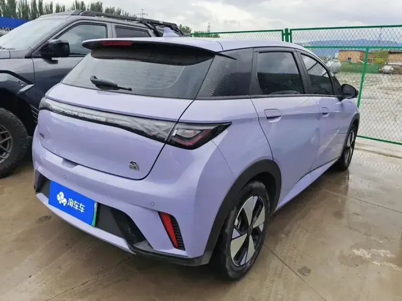2023 BYD Dolphin с пробегом 68 000 км