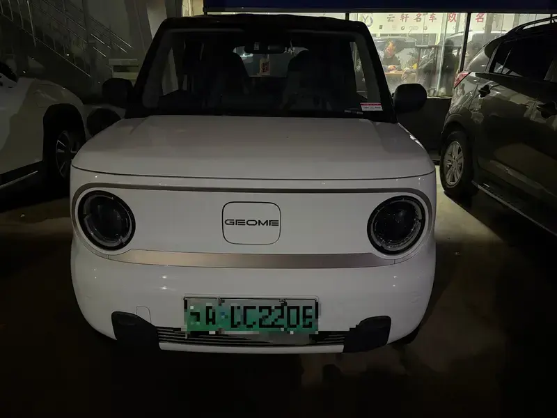 2023 Geely Panda с пробегом 62 000 км