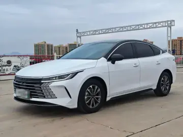 BYD Chazor