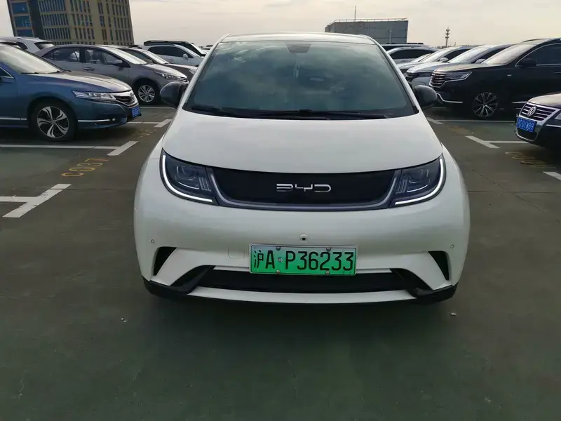2023 BYD Dolphin с пробегом 30 500 км