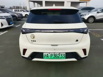 2023 BYD Dolphin с пробегом 30 500 км