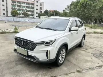 Bestune T33