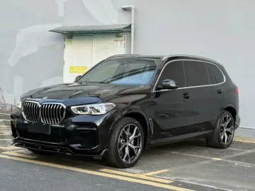 BMW X5 New Energy(Imported)