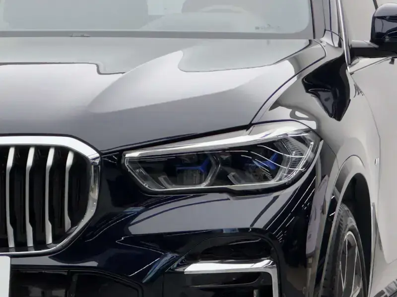 2022 BMW X5 New Energy(Imported) с пробегом 52 100 км