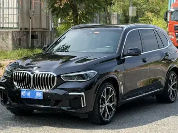BMW X5 New Energy(Imported)