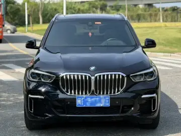 2022 BMW X5 New Energy(Imported) с пробегом 73 000 км