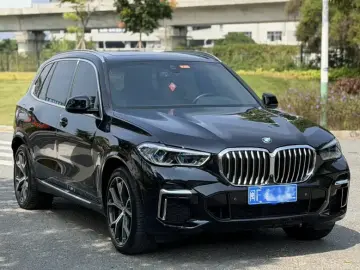 2022 BMW X5 New Energy(Imported) с пробегом 73 000 км