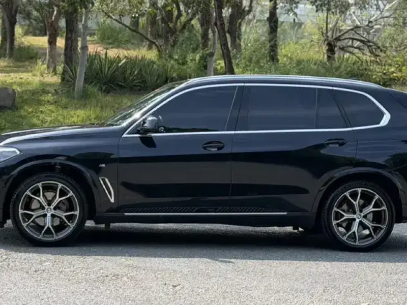 2022 BMW X5 New Energy(Imported) с пробегом 73 000 км