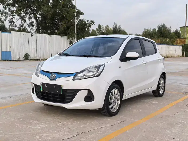 2019 Changan BenBen EV с пробегом 48 000 км