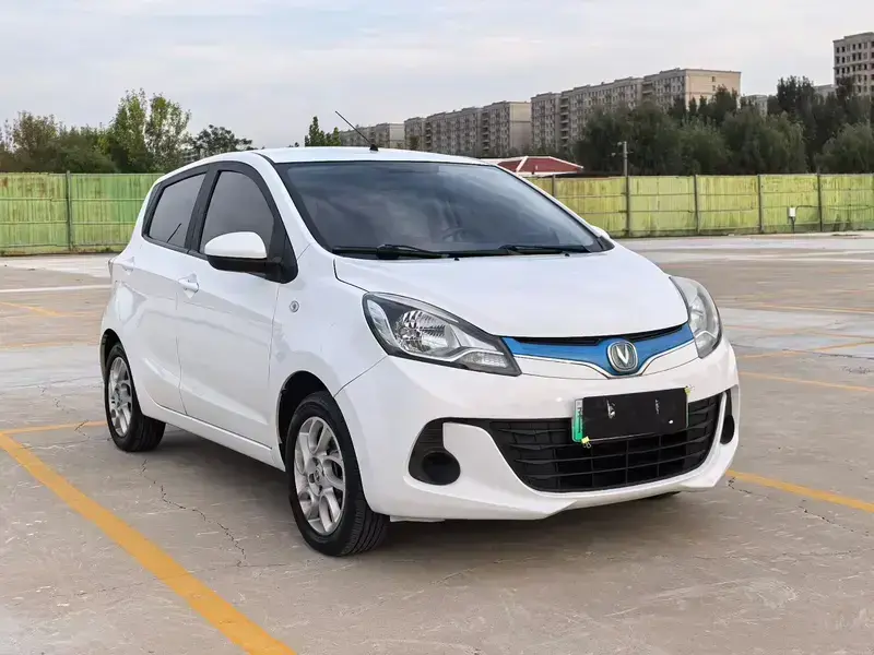 2019 Changan BenBen EV с пробегом 48 000 км