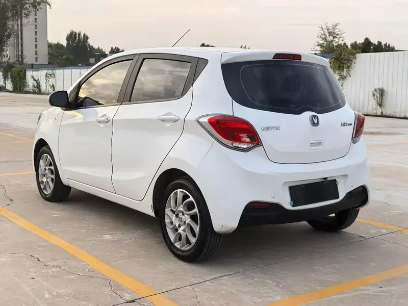 2019 Changan BenBen EV с пробегом 48 000 км