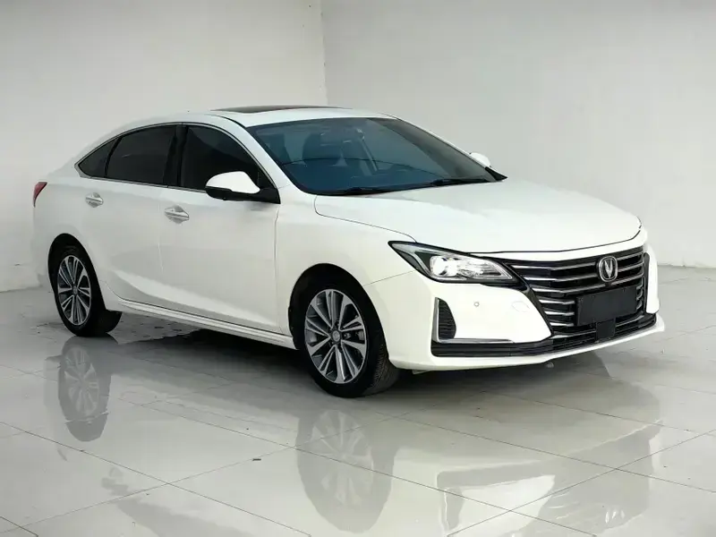 2020 Changan Ruicheng CC с пробегом 60 000 км