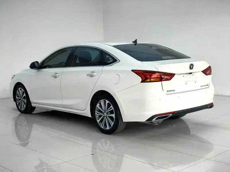 2020 Changan Ruicheng CC с пробегом 60 000 км