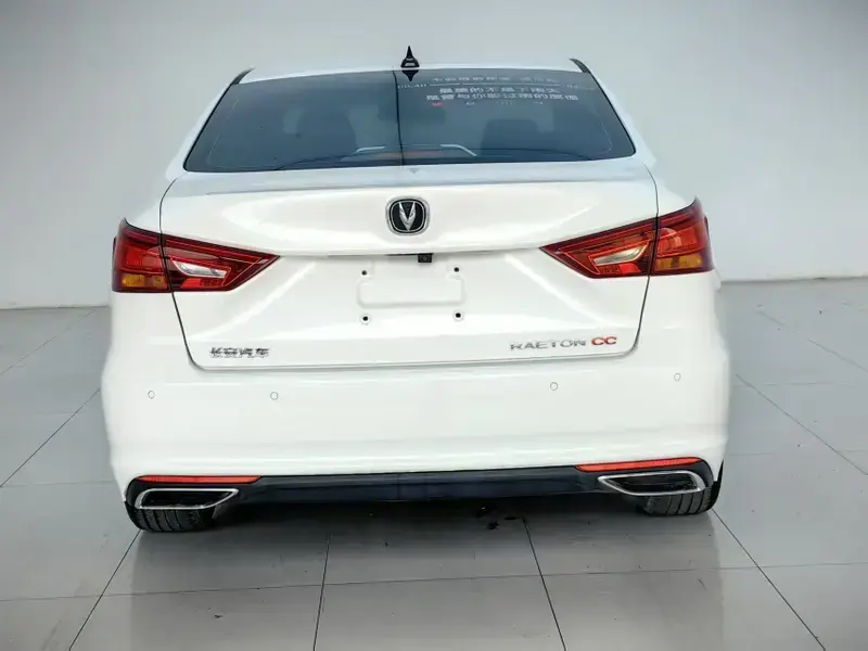 2020 Changan Ruicheng CC с пробегом 60 000 км
