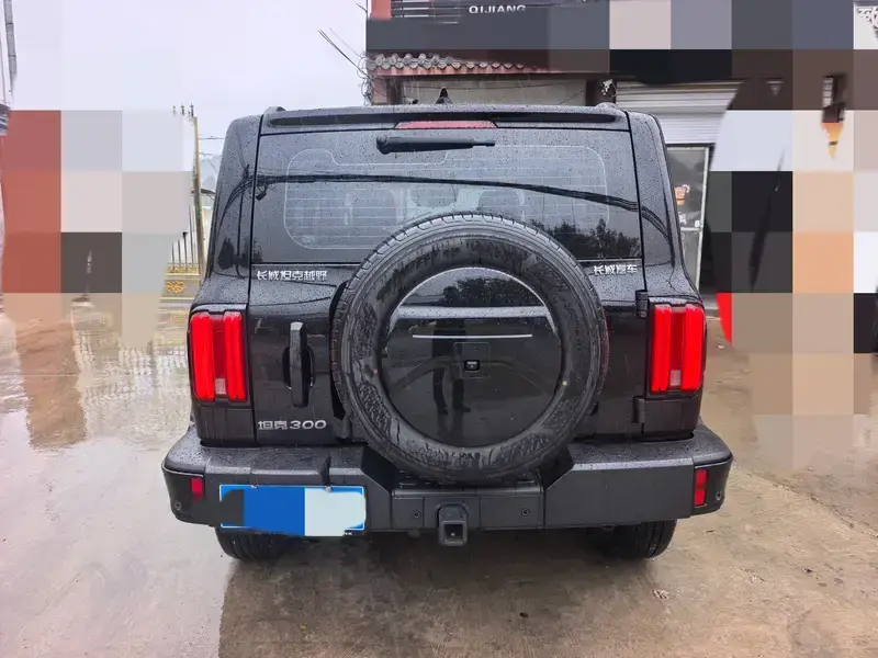 2024 Crossboundary Auto Co-created Tank 300 с пробегом 13 000 км