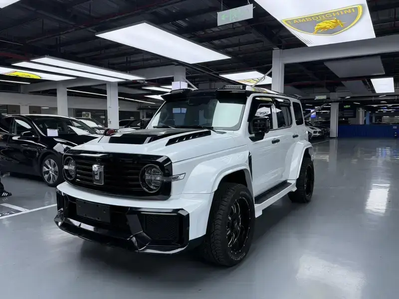 2023 Crossboundary Auto Co-created Tank 300 с пробегом 20 000 км