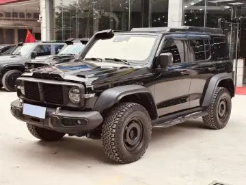 Crossboundary Auto Co-created Tank 300