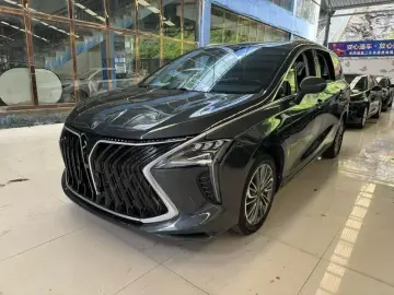 Forthing Fengxing Youting New Energy