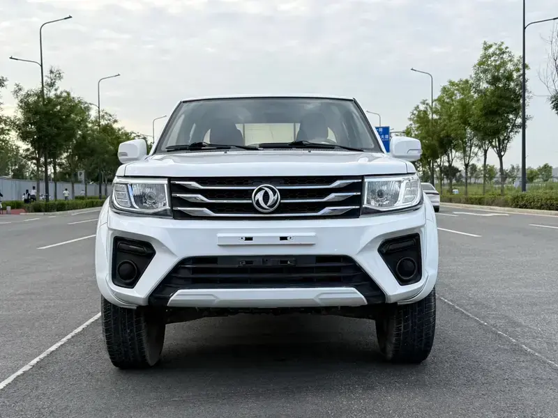 2019 Dongfeng Ruiqi с пробегом 40 000 км