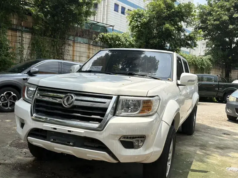 2019 Dongfeng Ruiqi с пробегом 68 000 км