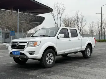 Dongfeng Ruiqi