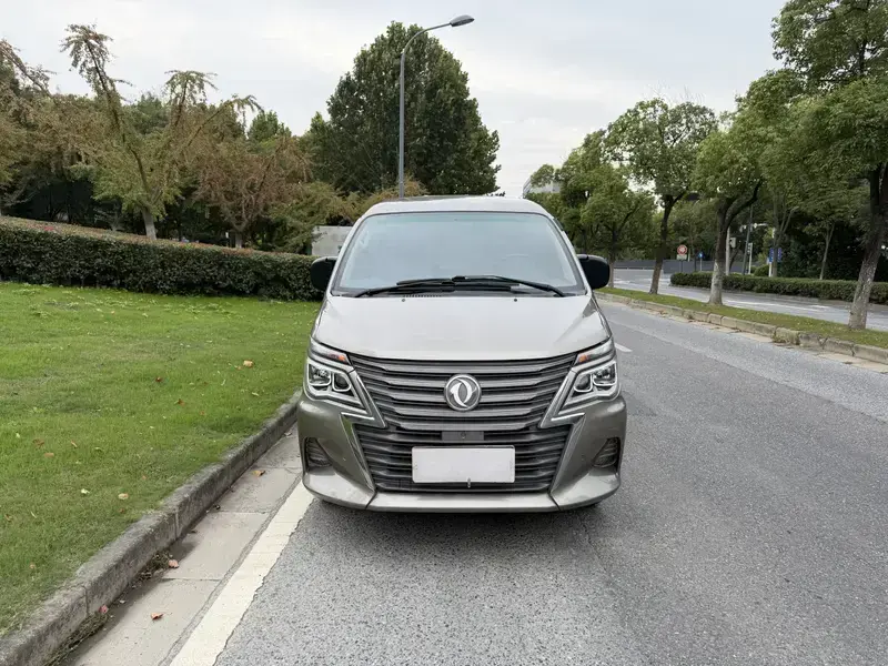 2019 Forthing Lingzhi с пробегом 148 000 км