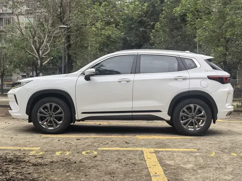 2020 Exeed Windchaser с пробегом 66 000 км