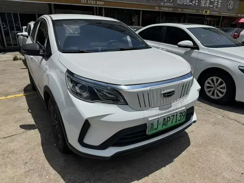 2021 Geely EX3 Kung Fu Bull с пробегом 100 000 км