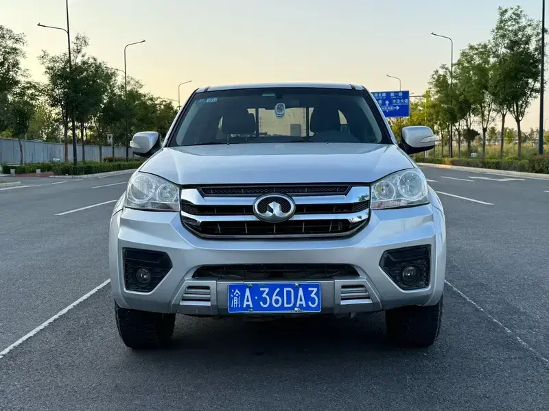 2020 Great Wall Fengjun 5 с пробегом 80 000 км