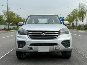 2020 Great Wall Fengjun 5 с пробегом 60 000 км