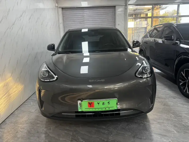 2025 Geely Starry Wish с пробегом 10 000 км