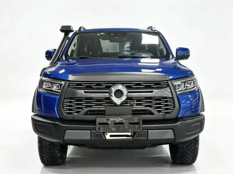 2020 Great Wall Pao с пробегом 91 000 км
