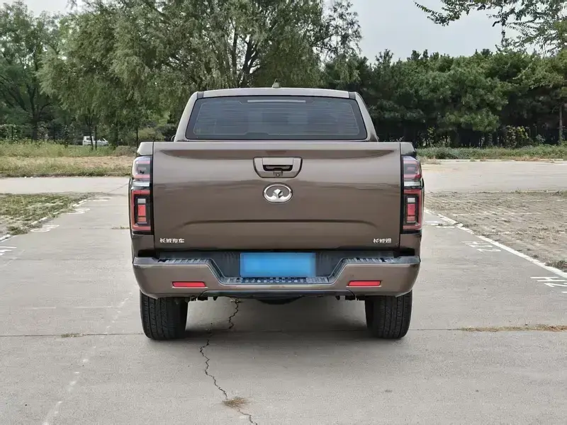 2020 Great Wall Pao с пробегом 40 000 км