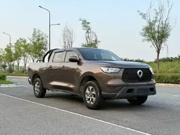 2021 Great Wall Pao с пробегом 80 000 км