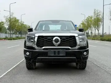 2023 Great Wall King Kong Cannon с пробегом 60 000 км