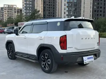 2022 Haval Cool Dog с пробегом 29 000 км