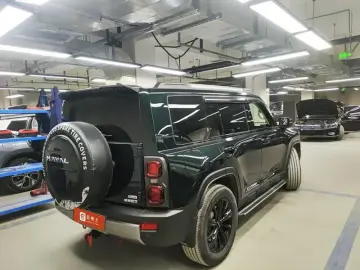 2024 Haval Menglong PLUS с пробегом 43 000 км