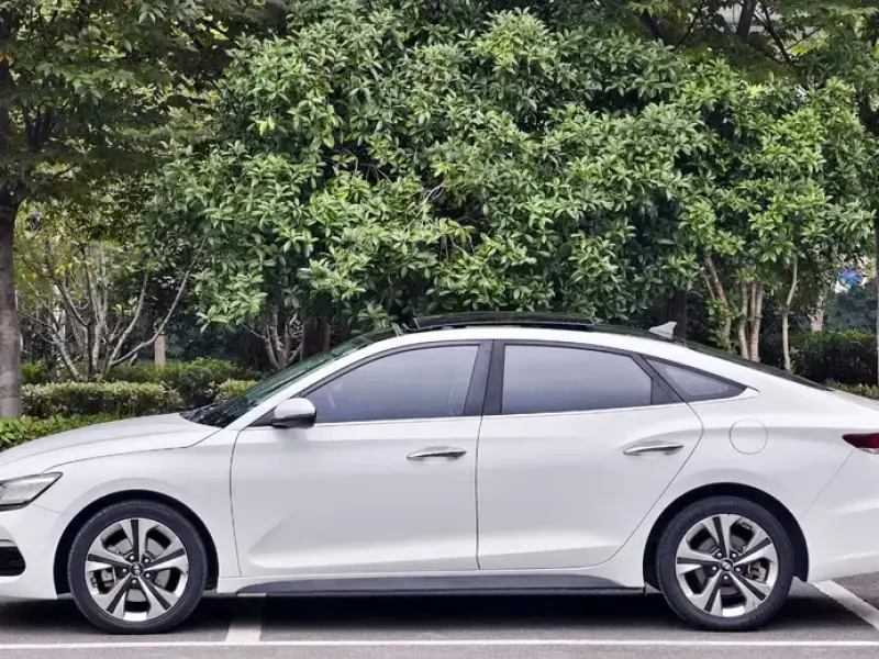 2019 Hyundai Fista EV с пробегом 67 000 км