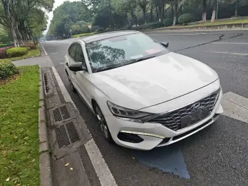 2019 Hyundai Fista EV с пробегом 94 000 км