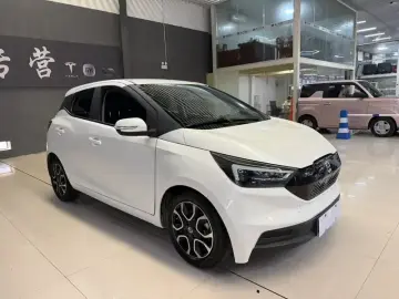 2019 JMC Yizhi EV3 с пробегом 58 000 км