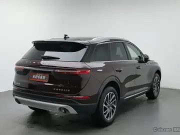 2022 Lincoln Adventurer NEV с пробегом 41 200 км