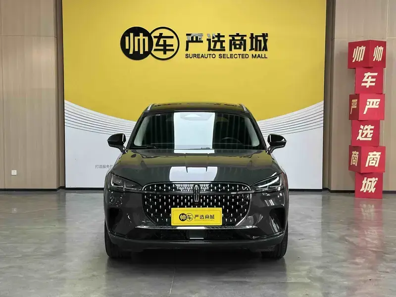 2024 Lincoln Adventurer NEV с пробегом 9 000 км