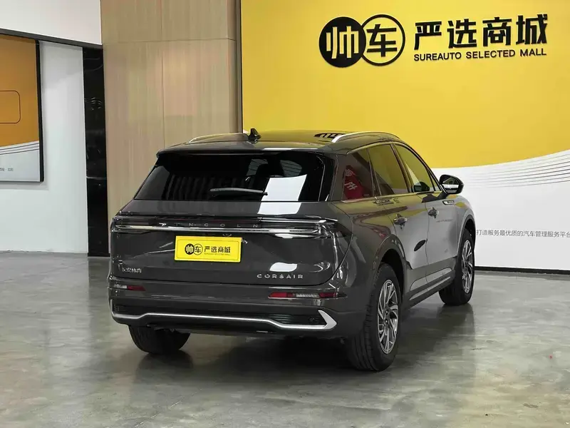 2024 Lincoln Adventurer NEV с пробегом 9 000 км
