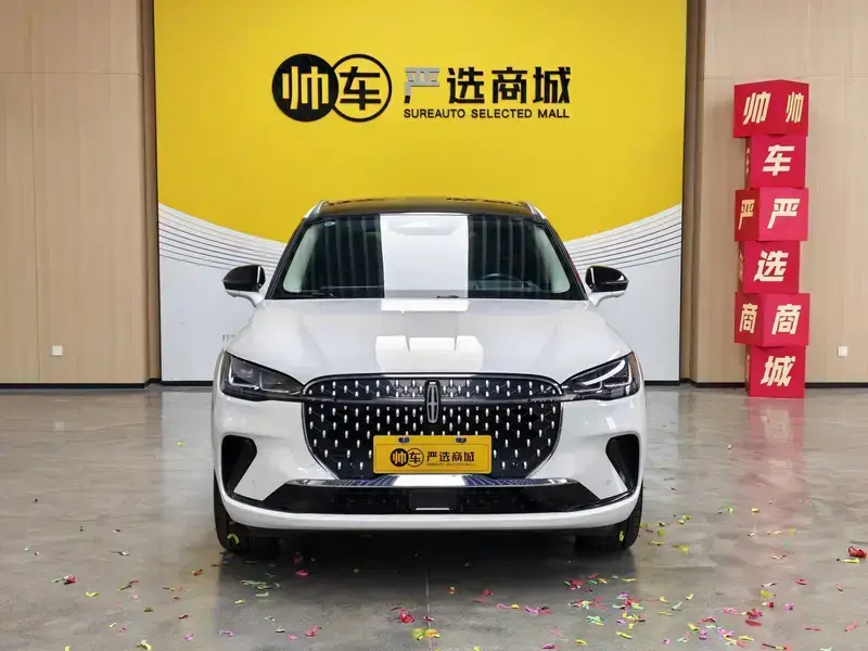 2024 Lincoln Adventurer NEV с пробегом 17 000 км