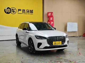 2024 Lincoln Adventurer NEV с пробегом 17 000 км