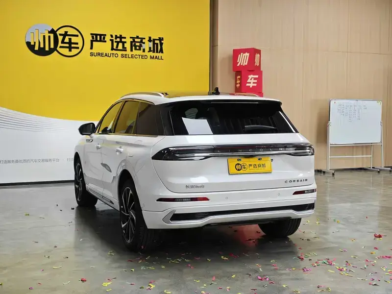 2024 Lincoln Adventurer NEV с пробегом 17 000 км